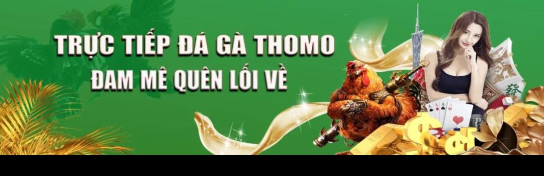 Đá Gà Thomo