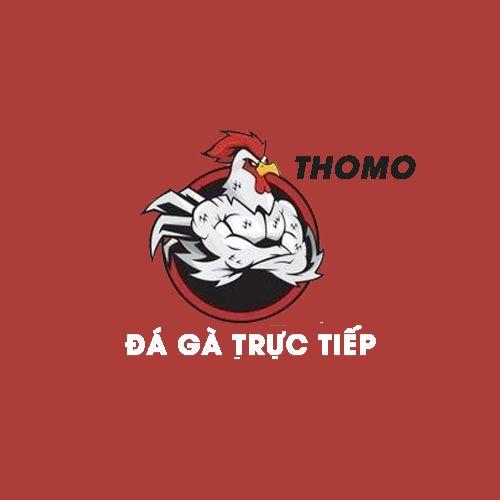 Đá Gà Thomo