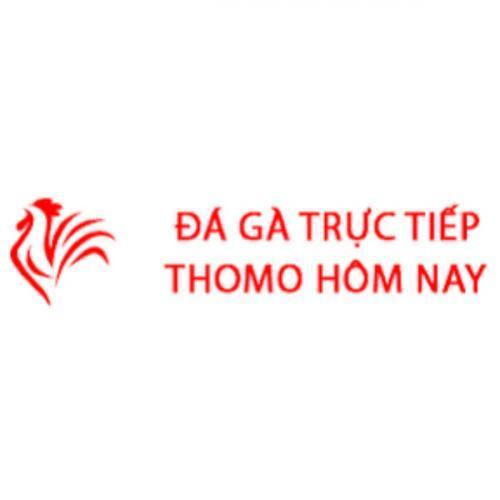 Đá Gà Trực Tiếp Thomo Hôm Nay