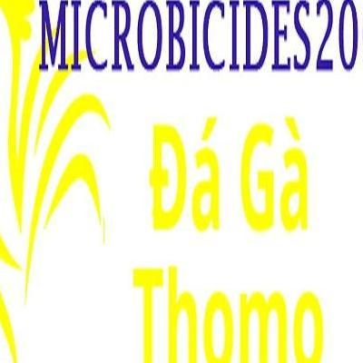 Đá Gà Trực Tiếp Thomo