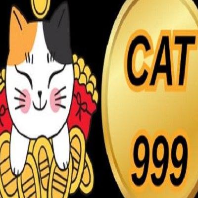 Cat999 Dev