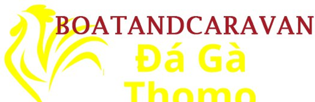 Đá Gà Trực Tiếp Thomo