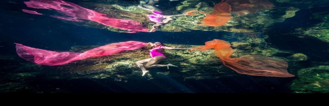 Fran Reina  Photography