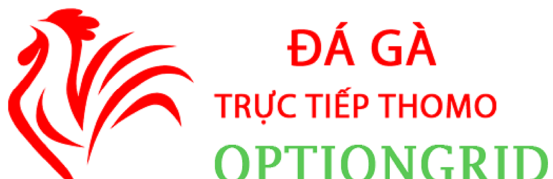 Đá Gà Trực  Tiếp Thomo