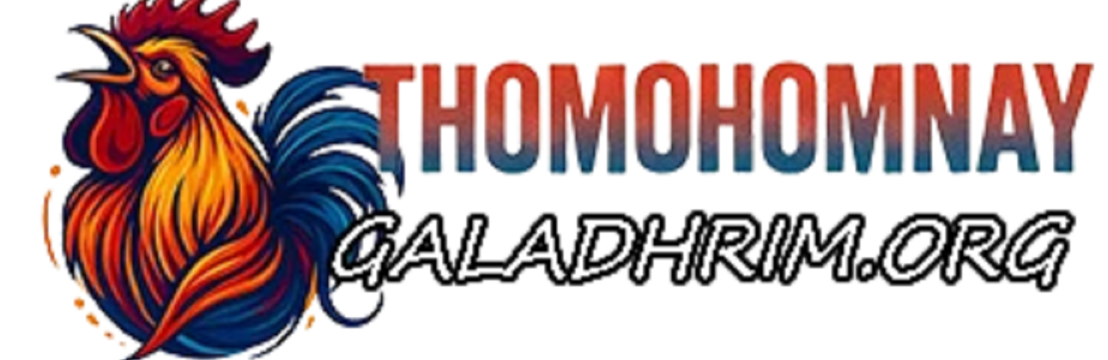 THOMOHOMNAY XEM TRỰC TIẾP ĐÁ GÀ