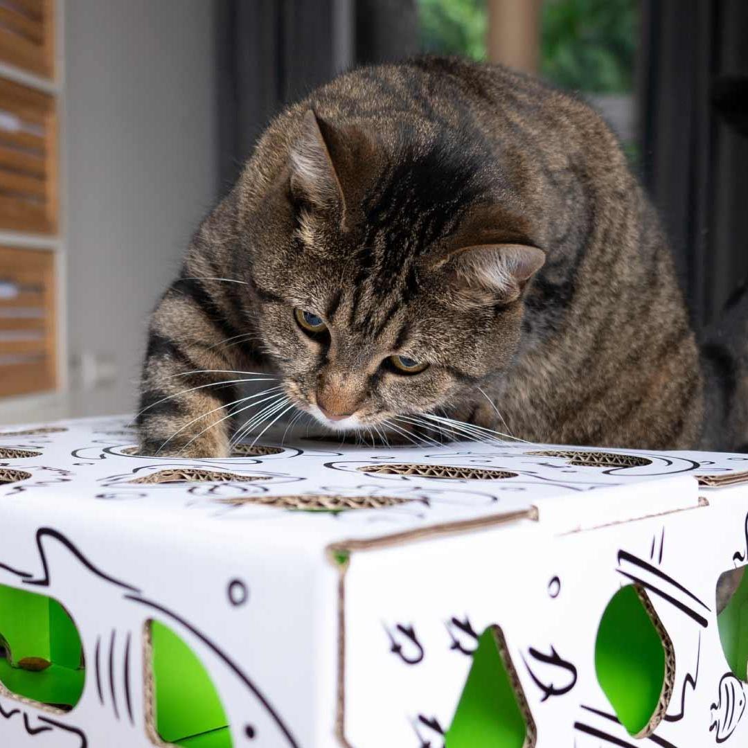 Cat Amazing Puzzle Feeder