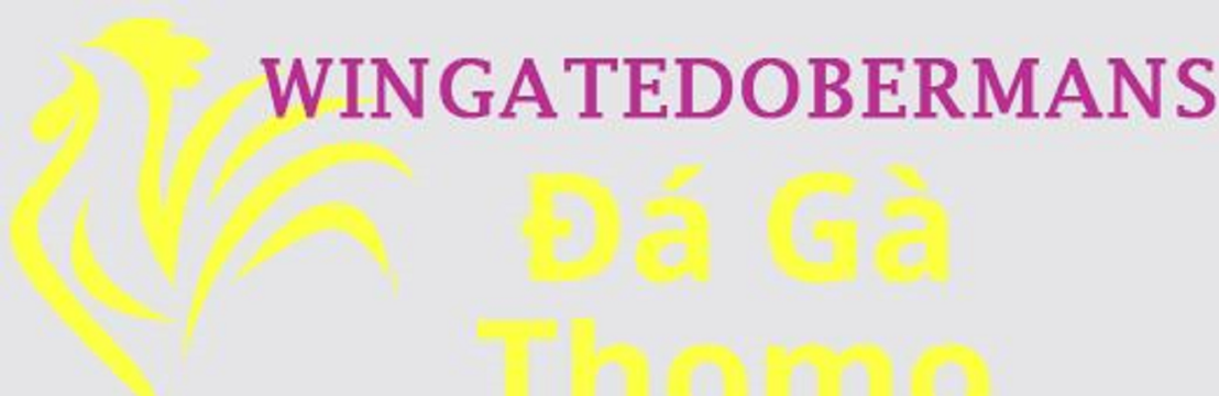 Đá Gà Trực Tiếp Thomo