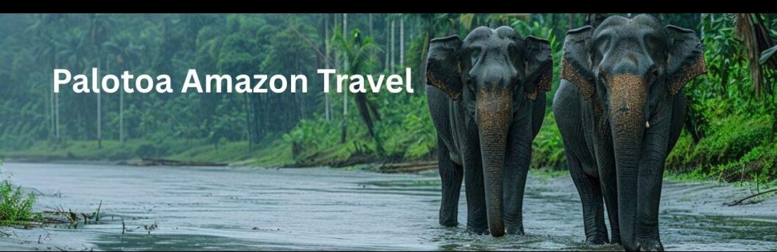 Palotoa  Amazon Travel