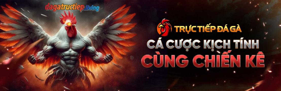 Trực Tiếp đá Gà