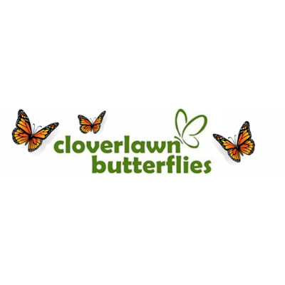 Cloverlawn Butterflies