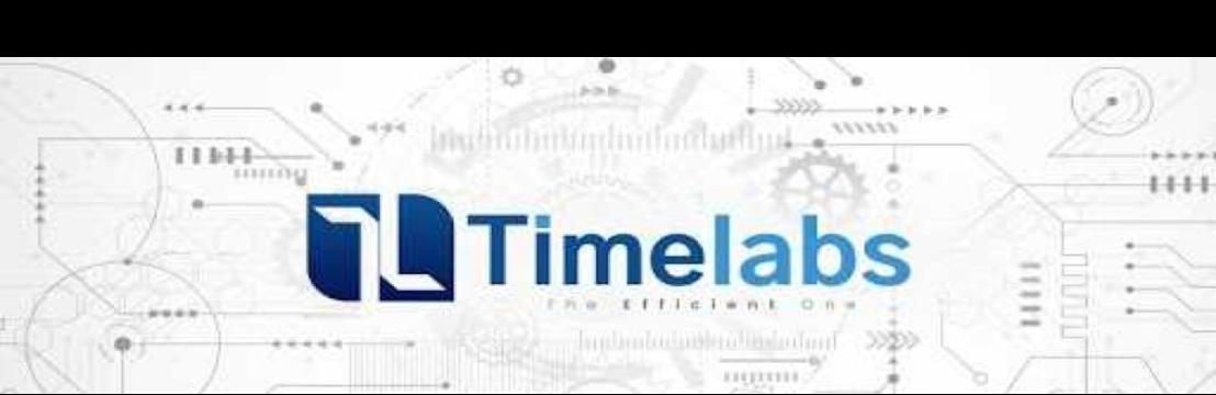 Timelabs HR Software