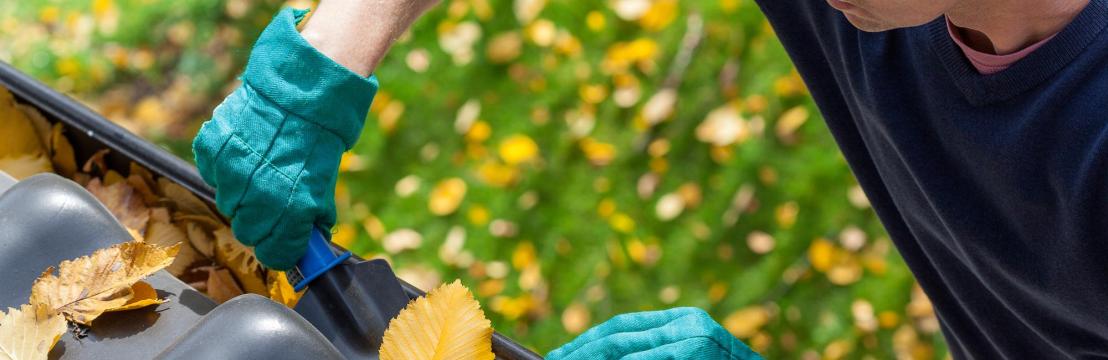 Regal Gutter Cleaning  Geelong