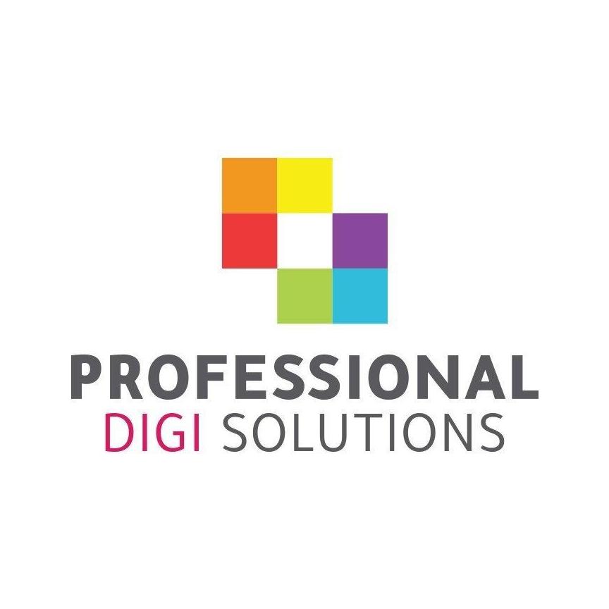 Professional Digi Slutions