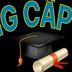 Bằng Cấp Uy Tín 365