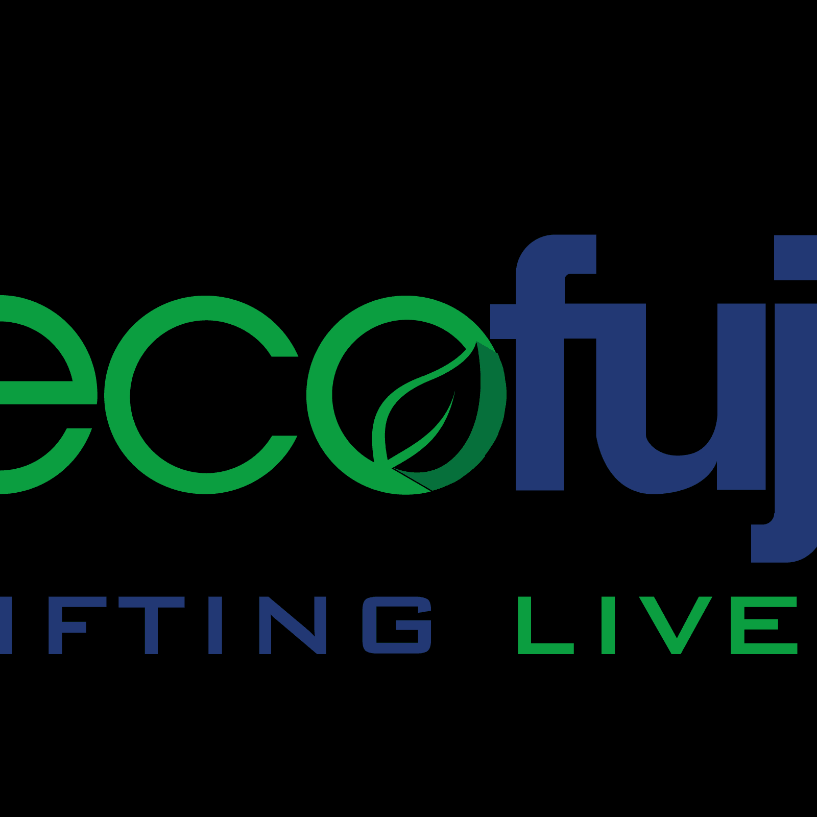 Thang Máy Ecofuji Việt Nam