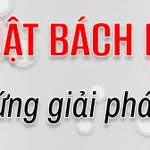 Dịch Thuật Bách Khoa