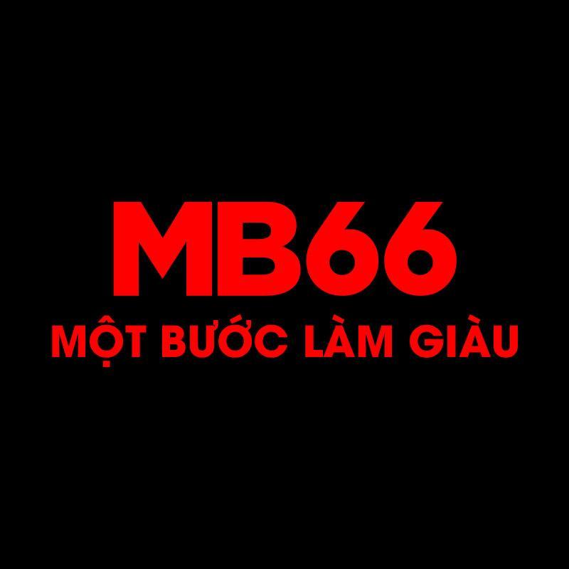 Taimb66 Com