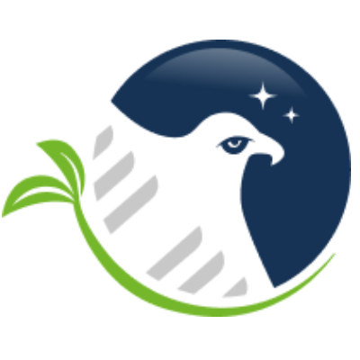 Gray Eagle  Painting