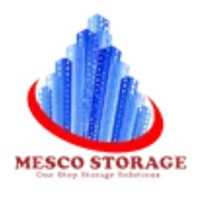 Mescostorage Systems