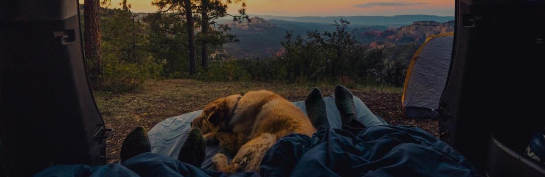 Camper Manufaktur Berlin