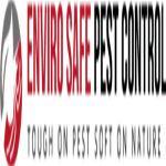 Bees Removal Melbourne