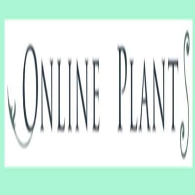 Online Plants