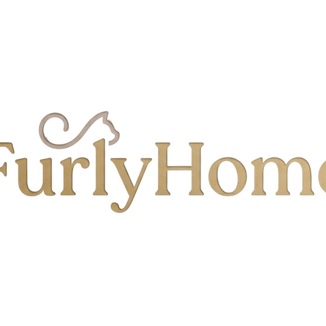 Best Pet Friendly  Furniture  Cozy Home  Ideas