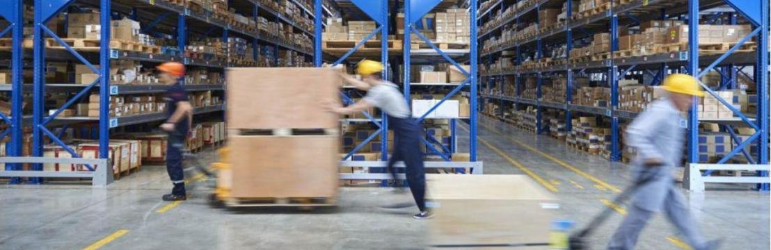 Argus Logistics