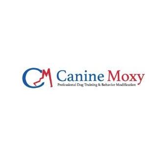 Canine  Moxy