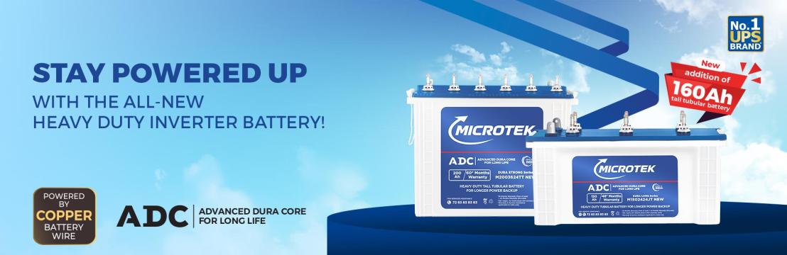 Microtek India