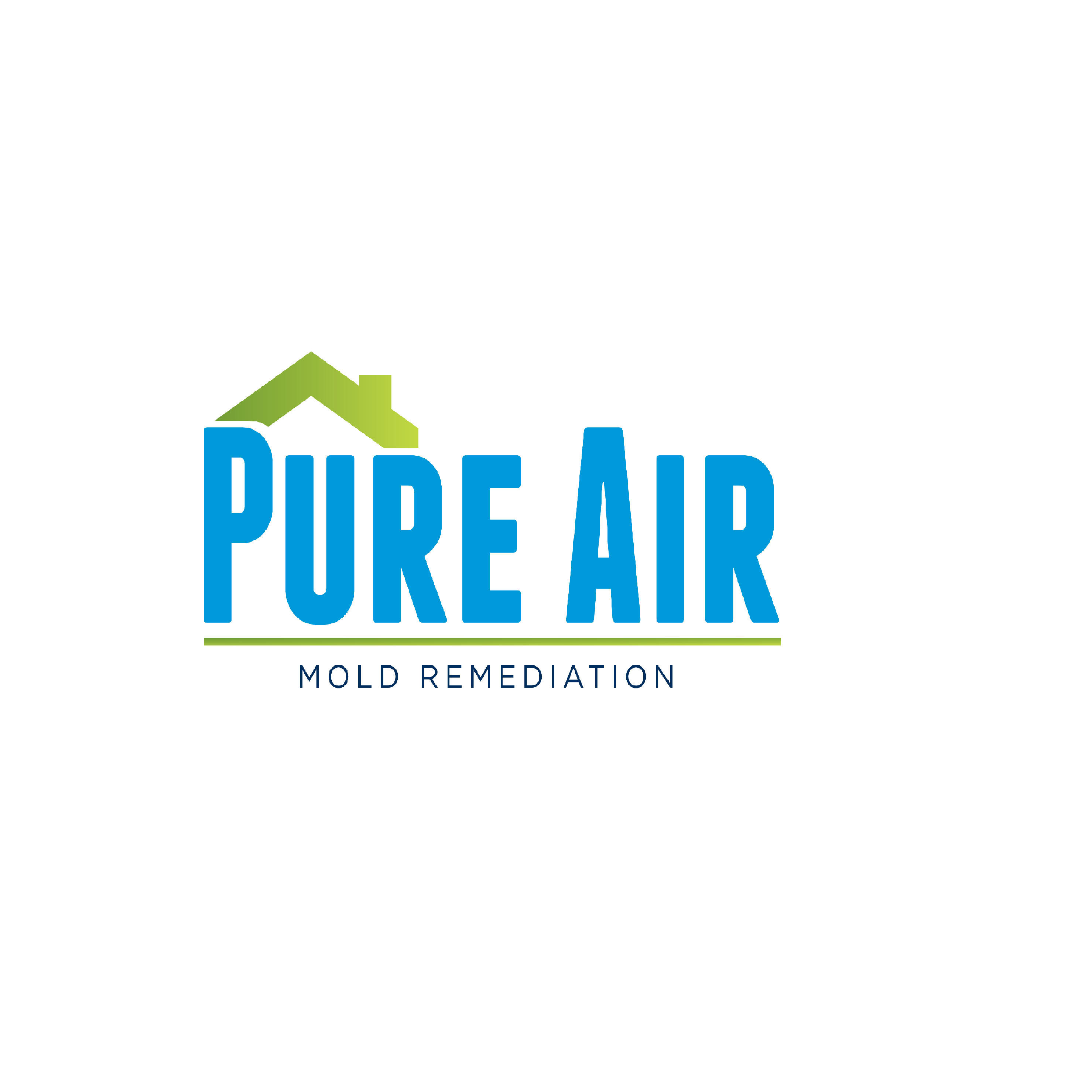 Pure Air  Mold Remediation