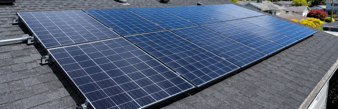 Raynex Power Solution
