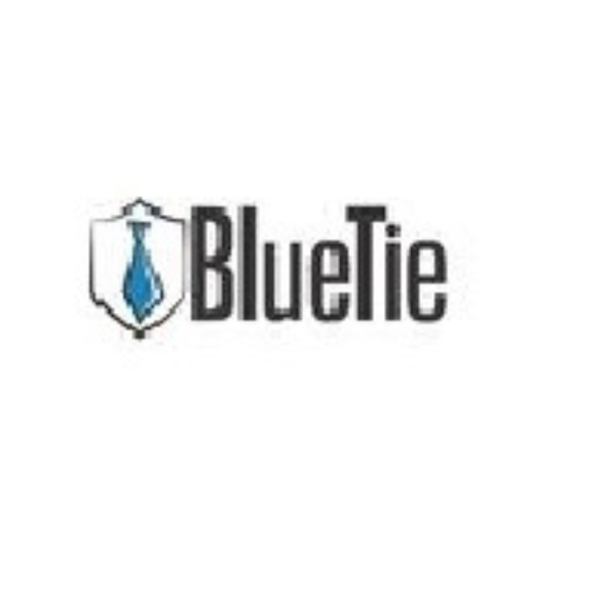 BlueTie Inc.