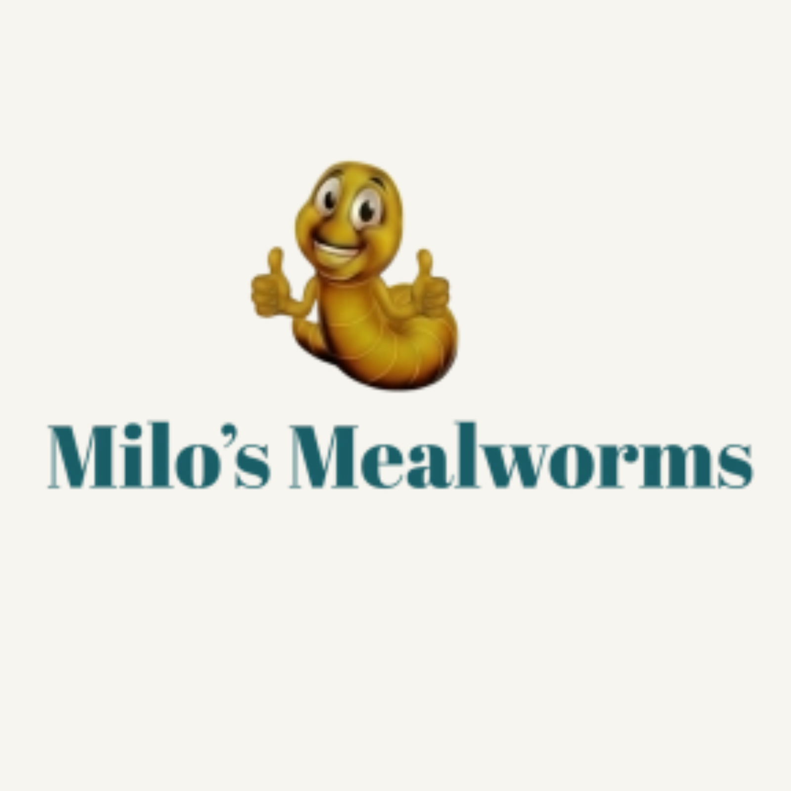 Milos Meal  Worms