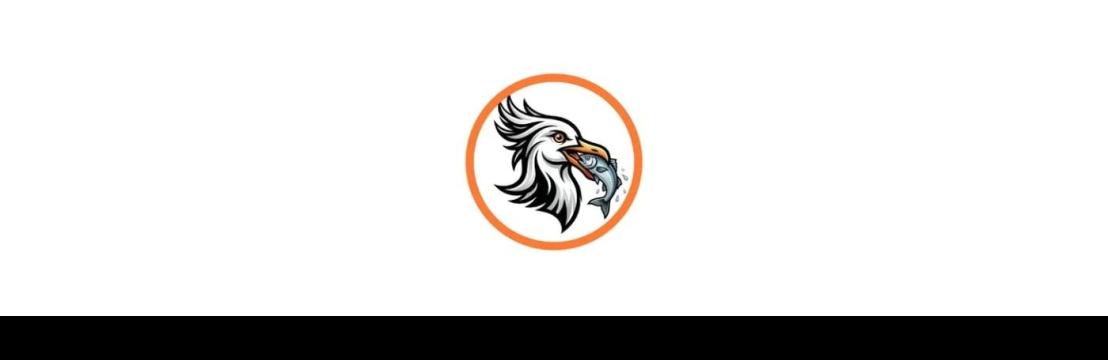 LeadGulls Digital  Marketing Agency