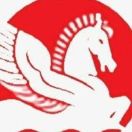Singhal Industries  Private Limited