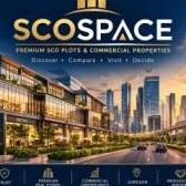 SCO Plots Gurgaon
